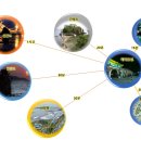 해미공인중개사사무소 이미지