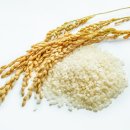 홍동농협 친환경 RPC 이미지