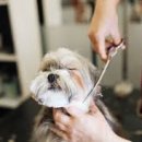 동일애견샵 이미지