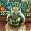 테라리움 이미지