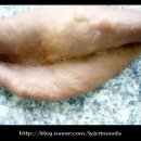 브레드레시피 이미지