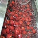진주시농산물종합가공센터 | #늘햇살팜 #완숙토마토 잼 만들기 #진주농산물 종합가공센터