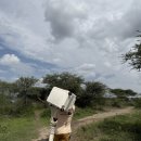 위드게임존 | 세렝게티 니카니 마이그레이션 캠프 Nyikani Migration Camp 2박 솔직 후기 (진정한 야생)