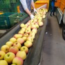 김한기 농장 이미지