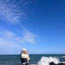 제주애단비 마주 이미지