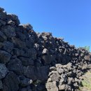 느릅낭집 이미지