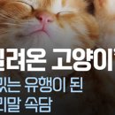 (주)하나로 축산기업 이미지