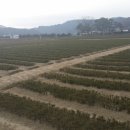 순천만모터스 이미지