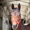 국(농림수산식품부) 이미지