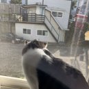 도다미의 부끄러운 인사 궁시의 콧바람 [거치대 연결후기]