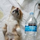 세광상사 이미지