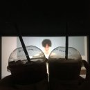 벌크커피상무CGV 이미지