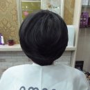 보노보노헤어 이미지
