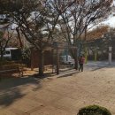 백양가족공원 티스토리