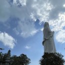 차이나는중식(장당점) | 다낭 부모님과 패키지여행 - 참좋은여행 안심효도여행 4일차 후기