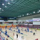 초등 배드민턴 1 이미지