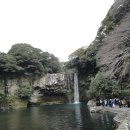 천지연 폭포 이미지