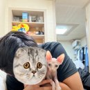 무양반려동물병원 이미지