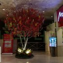 (주)마제스타 마제스타카지노 이미지