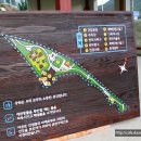 나무그래픽 이미지