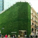 네이처리퍼블릭 카카오 검색결과