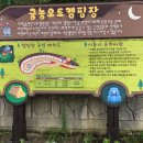 궁농오토캠핑장 이미지