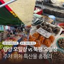 북평농협 | 강원도 모녀여행 추천 양양 5일장 vs 동해 북평 5일장 총정리