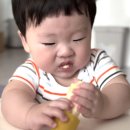 (주)이도통상 | 6개월 아기 아이주도 이유식 한 달 후기