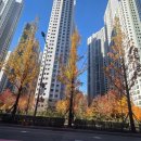 화서역파크푸르지오부동산중개 | 화서역파크푸르지오 부동산 전망 │ 10·15 대책 이후에도 거래 꾸준한 이유