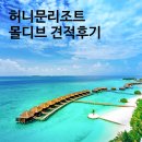 W-34 허니문리조트 몰디브견적