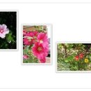 (유)도형 이미지