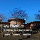 화목펜션 | 담양 펜션 담양 숙소 대숲속으로 독채 펜션 후기