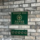 [솔직후기] 제주도게하｜혼자여행도 재밌게! 공항 근처 파티게스트하우스 ‘파티야’ 후기 💃