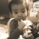 금해민박 | 선릉역 근처 소아과 퐝당한 마음