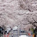 제주대학교 이미지