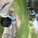 007티켓커피나무 | 시드니 2일차_오페라 하우스, 로열보태닉 등