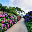 동광리-8 이미지