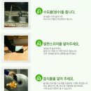 음식물분쇄기 갈갈이씽크퓨어음식물처리기 설치후기
