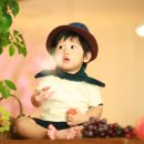 레인스튜디오 Daum카페