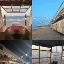 가족펜션 | 태안 추억만들기펜션 가족여행 무제한 바베큐 후기