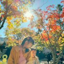 화담숲 모노레일 + 도보 코스 추천 아이와 함께 방문한 화담숲 후기💛