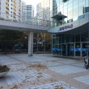 해운대교육청 공동체육관 | 해운대 교육청 공동체육관 수영장 / 아레나 오리발 구입후기 / 도미노씨푸드퐁듀피자