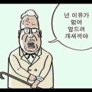 양푼이국수 이미지
