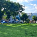 뜨락의아침 이미지