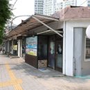 해적선생오리 이미지