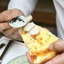 하늘과 소나무 이미지