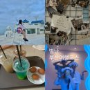 네바퀴정비마을 부산강동점 | 부산여행 | 기장카페 게하파티 센텀스파랜드 후기(1박 2일 바짝 놀기코스)