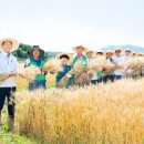한국돈영농조합법인 경북일보