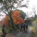 청류민박 이미지