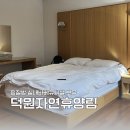 대동면사무소 찜질방옆 | 하동가볼만한곳 덕원자연휴양림 숲속의집 AA 숙박후기